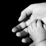 Newborn hand in adult hand
