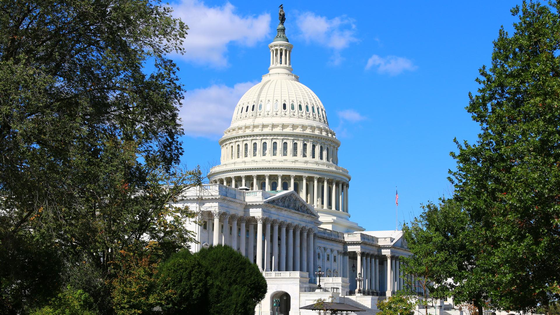 Tree-lined side of the Capitol building